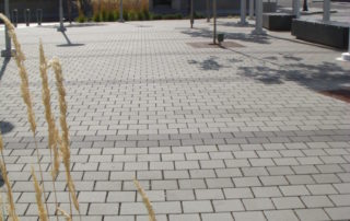 Eco Priora Gray, Charcoal Highlights