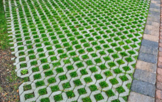 Turfstone, Dominion Border