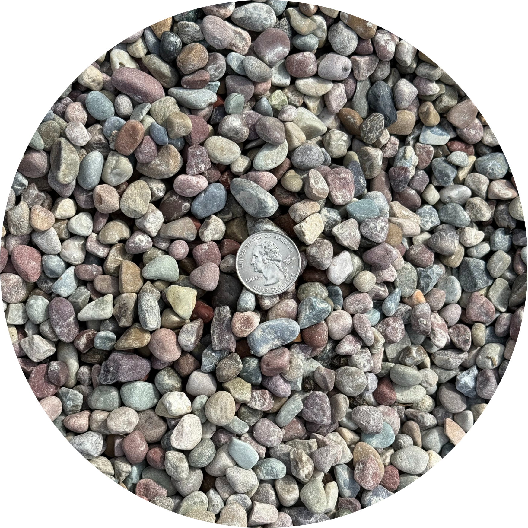 Rainbow 3:8 Pea Gravel
